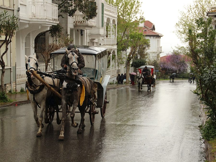 Princes' Islands Treasure Hunt: Büyükada